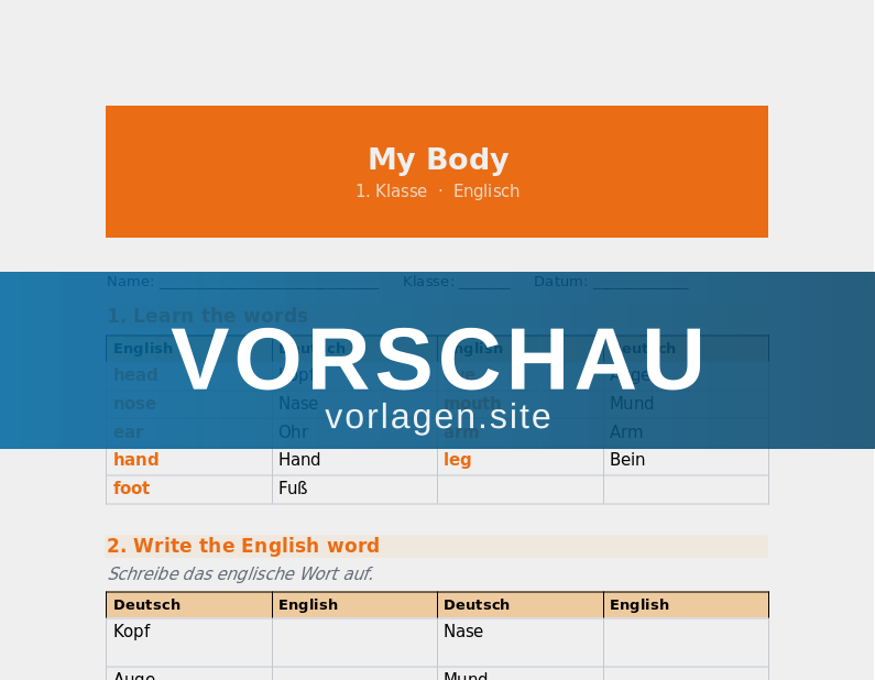 My Body – Körperteile auf Englisch