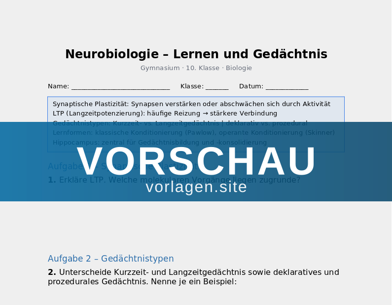 Neurobiologie – Lernen und Gedächtnis
