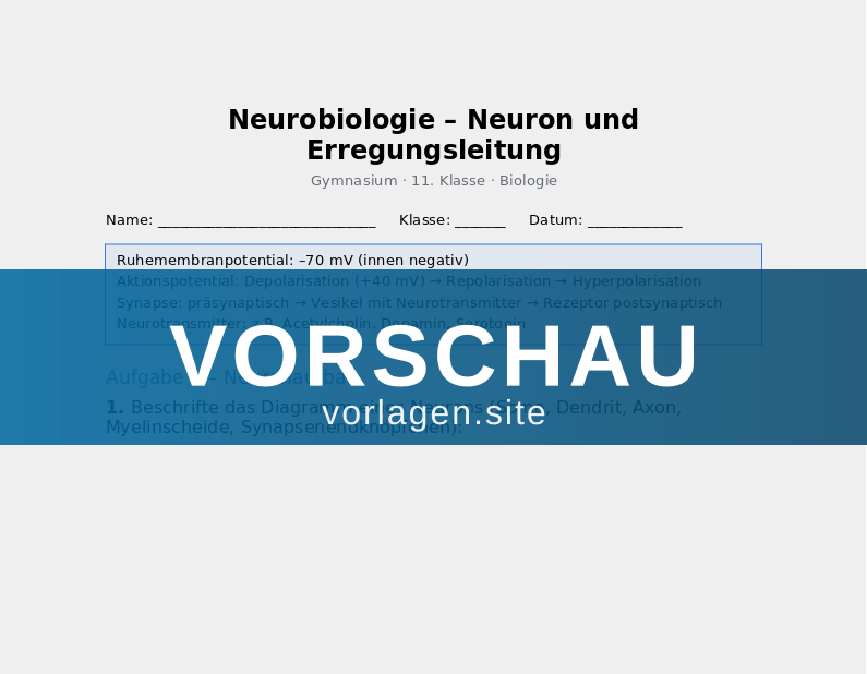 Neurobiologie – Nervenzellen und Signalübertragung