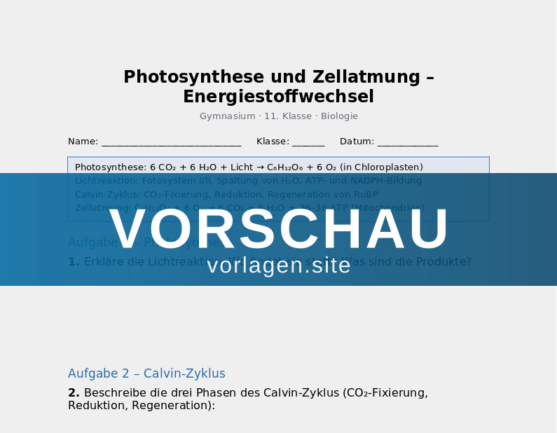 Photosynthese und Zellatmung – Energiestoffwechsel