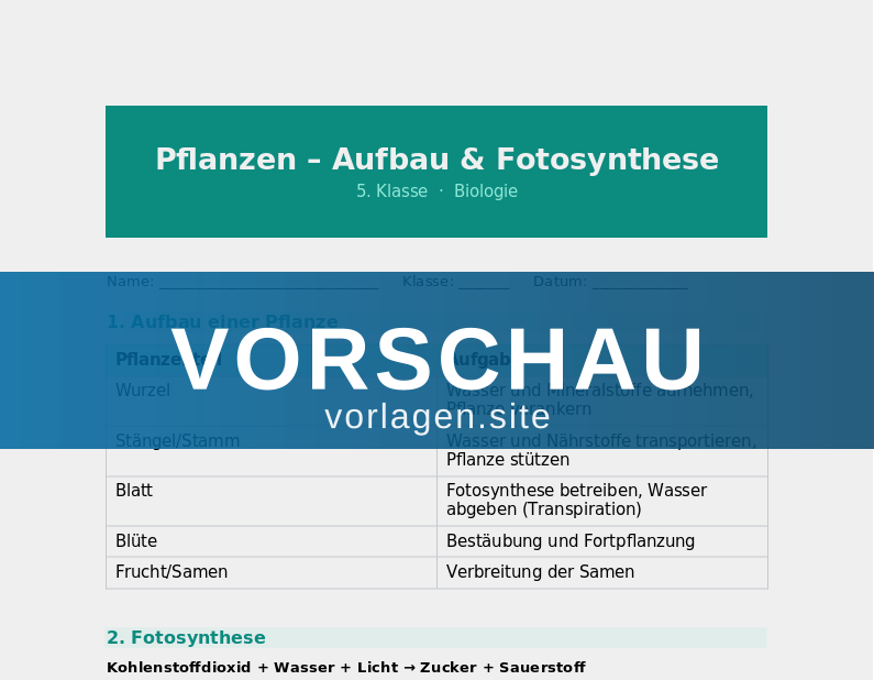 Pflanzen – Aufbau und Fotosynthese