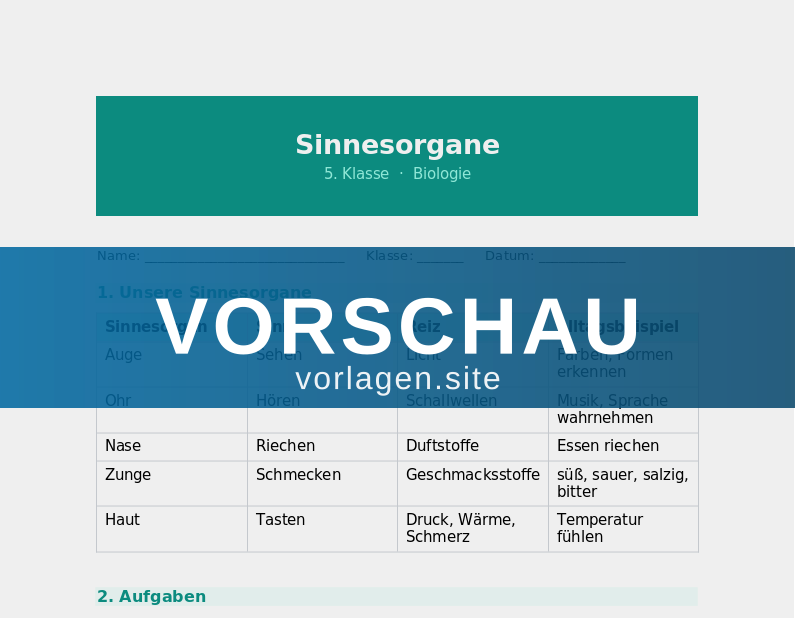 Sinnesorgane des Menschen