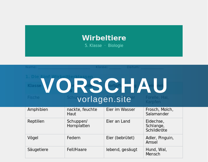 Tiere – Wirbeltiere und ihre Merkmale