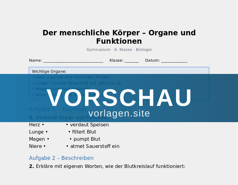 Der menschliche Körper – Organe und ihre Funktionen