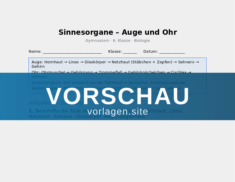 Sinnesorgane – Auge und Ohr