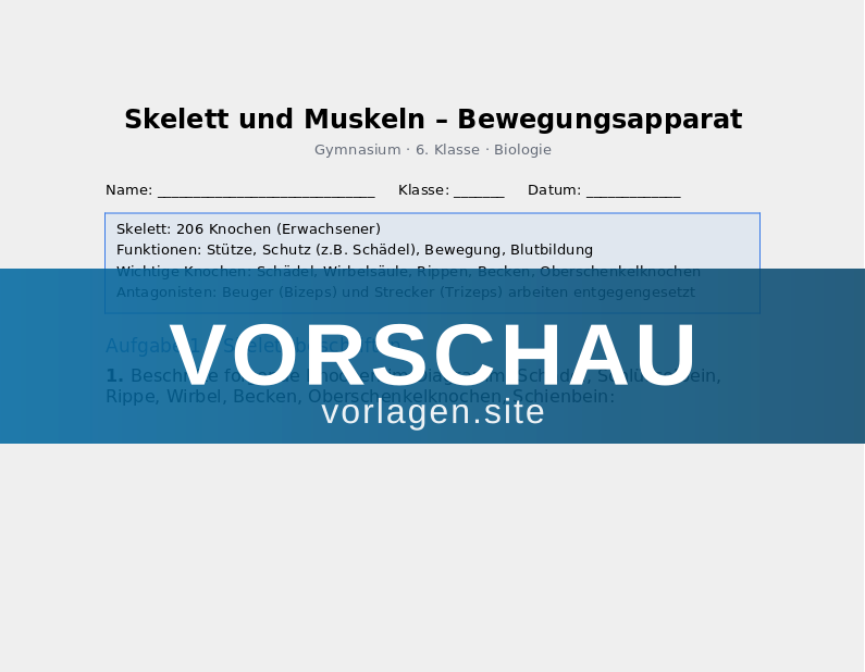 Skelett und Muskeln – Bewegungsapparat