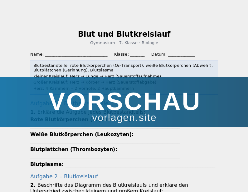 Blut und Blutkreislauf