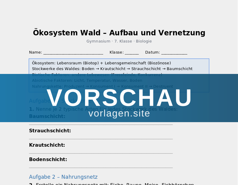 Ökosystem Wald – Aufbau und Vernetzung