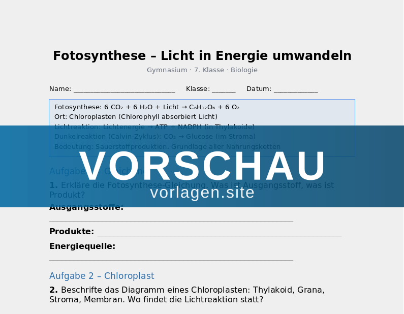 Fotosynthese – Licht in Energie umwandeln