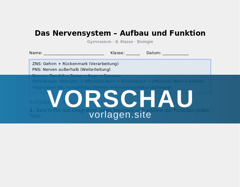Das Nervensystem – Aufbau und Funktion