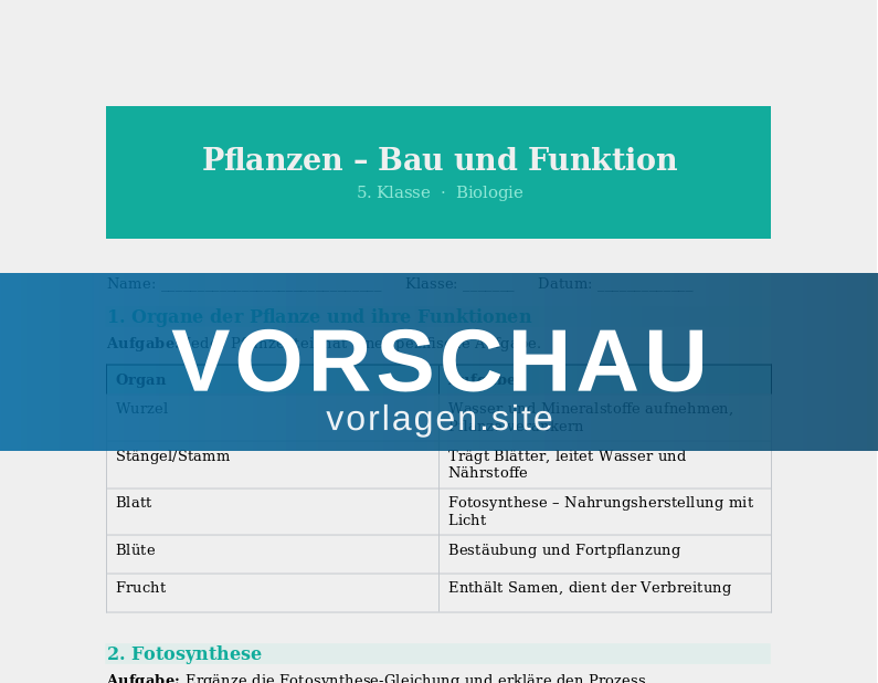 Pflanzen – Aufbau und Fotosynthese