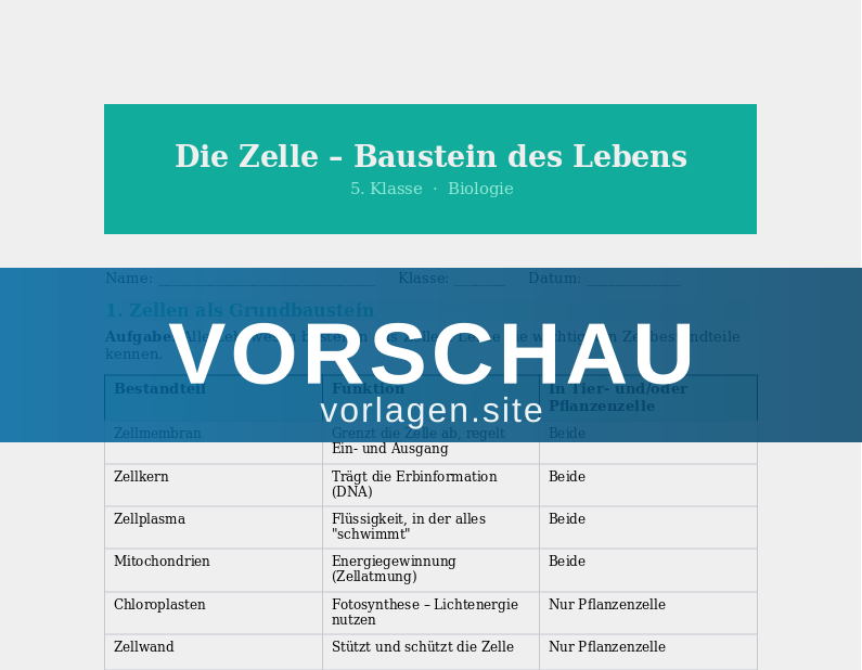 Die Zelle – Grundbaustein des Lebens