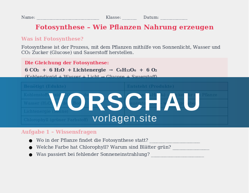 Fotosynthese und Zellatmung
