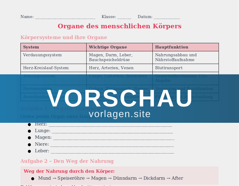 Der menschliche Körper – Organe