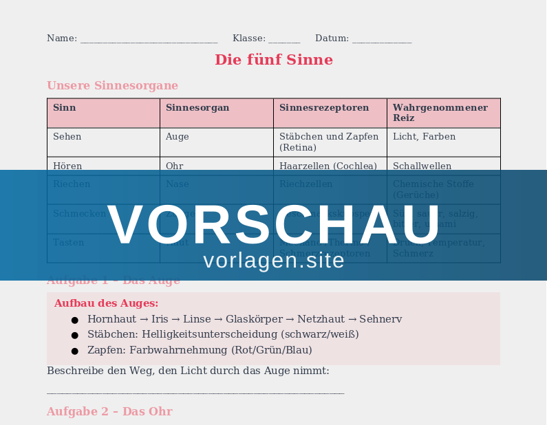 Sinnesorgane – Sehen und Hören