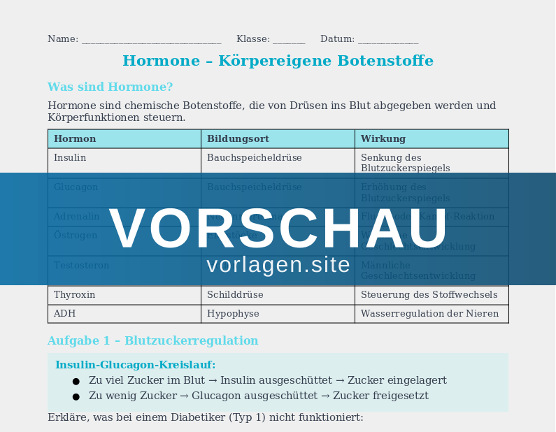 Hormonsystem – Hormone und ihre Wirkung