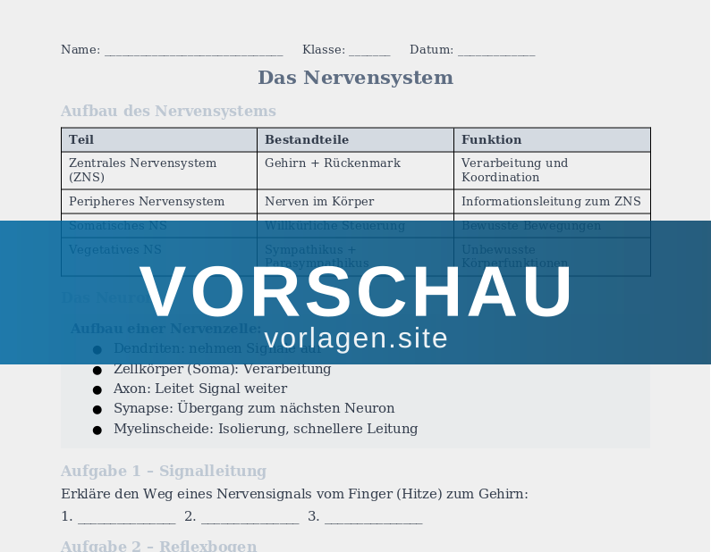 Humanbiologie – Nervensystem