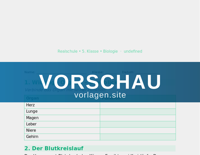 Der menschliche Körper – Organe und Funktionen