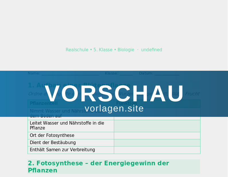 Pflanzen – Aufbau und Fotosynthese