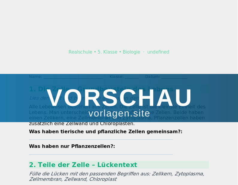 Zelle – Aufbau und Funktion