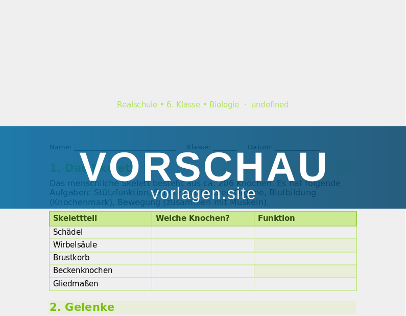 Menschlicher Körper – Bewegungsapparat