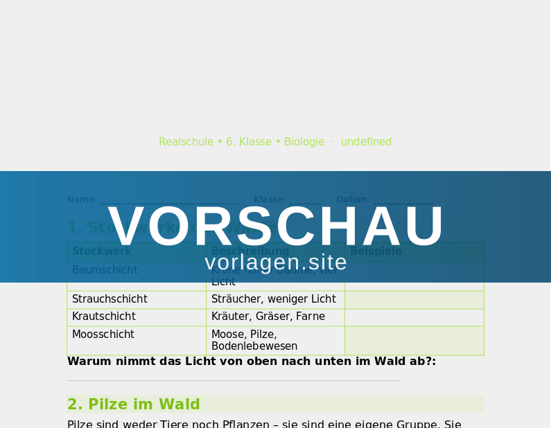 Ökosystem Wald – Stockwerke und Bewohner