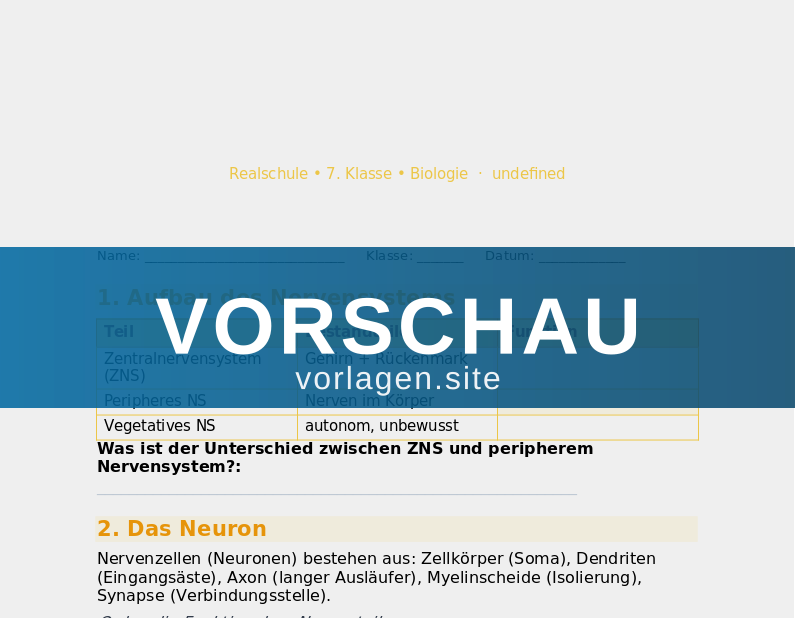 Das Nervensystem