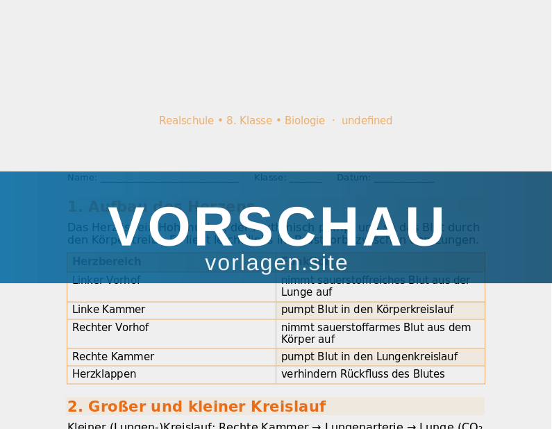 Herz-Kreislauf-System